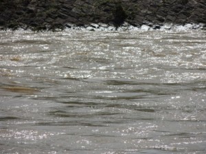 鬼怒川水害と東日本大震災の津波の共通性とは？