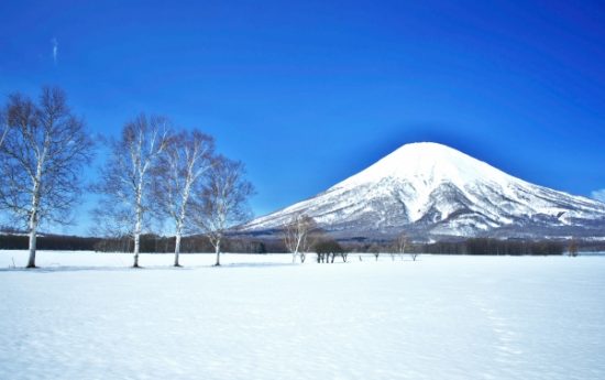 外国人に買われるヤバい土地